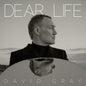 Dear Life - David Gray [VINYL]
