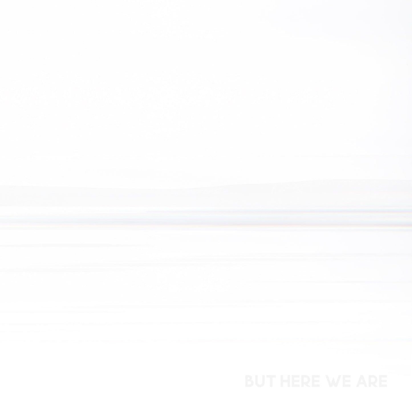 But Here We Are - Foo Fighters [VINYL]