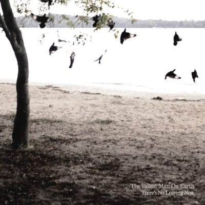 There's No Leaving Now - The Tallest Man On Earth [VINYL]