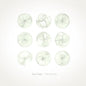 Field of Drawings - Ryan Teague [VINYL]