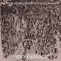 Automaginary - Natural Information Society & Bitchin Bajas [VINYL]