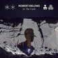 In the Cards - Robert DeLong [VINYL]