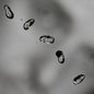 Up - Peter Gabriel [VINYL]