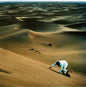 Prince of Tears - Baxter Dury [VINYL]