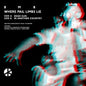 Where Pail Limbs Lie:   - BMB [VINYL]