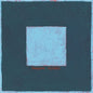Skylight:   - Pinegrove [VINYL]