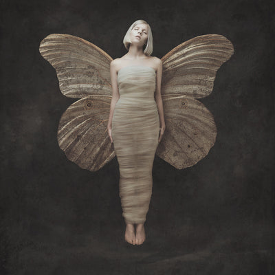 All My Demons Greeting Me As a Friend - Aurora [VINYL]