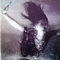 Verses Universe:   - Rev Magnetic [VINYL]