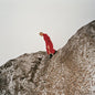 Reward:   - Cate Le Bon [VINYL]