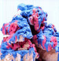 Dross Glop 1:   - Battles [VINYL]