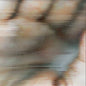 Blood Music: Pentamerous Metamorphosis - Chapterhouse Retranslated - Global Communication [VINYL]