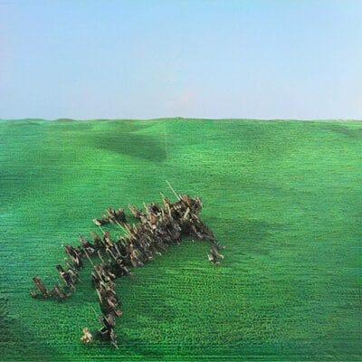 Bright Green Field:   - Squid [VINYL]