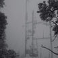 On Hold:   - Photay [VINYL]