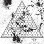 Betrayed in the Octagon (RSD 2021) - Oneohtrix Point Never [VINYL Limited Edition]