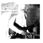 Into the Blue - The Joy Formidable [VINYL]