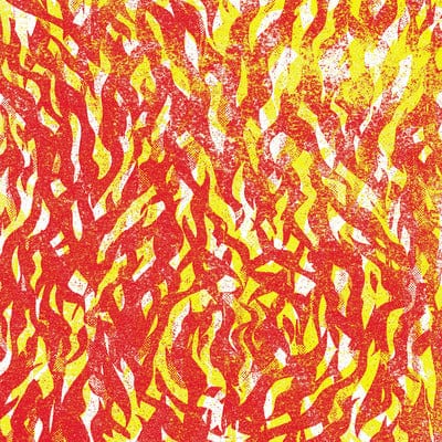Fire - The Bug [VINYL]
