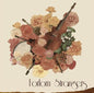 Forlorn Strangers:   - Forlorn Strangers [VINYL]