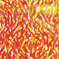 Fire - The Bug [VINYL]