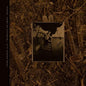 Come On Pilgrim... It's Surfer Rosa - Pixies [VINYL Deluxe Edition]