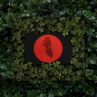 Live from Blackalachia:   - Moses Sumney [VINYL]