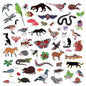 Island of Noise:   - Modern Nature [VINYL]