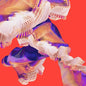 Isles:   - Bicep [VINYL Deluxe Edition]
