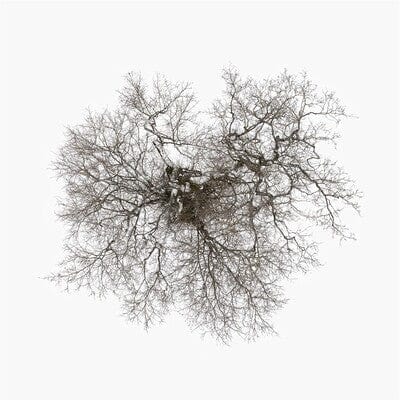Tree - John Metcalfe [VINYL]