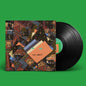 Isn't It Now? - Animal Collective [VINYL]