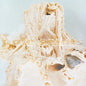 In Ribbons - Pale Saints [VINYL]