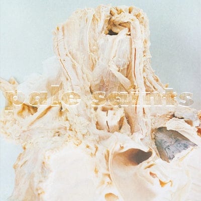 In Ribbons - Pale Saints [VINYL]