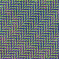 Merriweather Post Pavilion - Animal Collective [VINYL]
