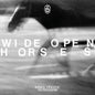 Wide Open, Horses - James Vincent McMorrow [VINYL Limited Edition]
