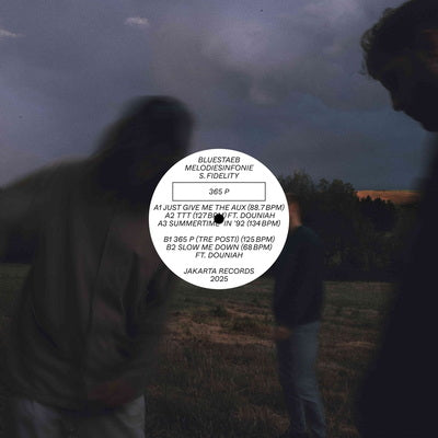 365 P - Bluestaeb, Melodiesinfonie & S. Fidelity [VINYL]