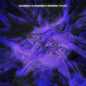 Hainbach & Ensemble Modern: Primer - Hainbach [VINYL]