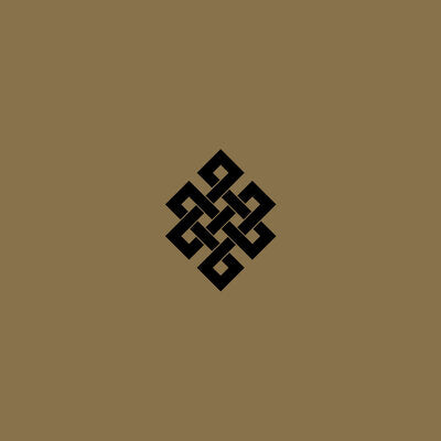 Live at the Volksbühne, Berlin, New Year's Eve, 2005 - Throbbing Gristle [VINYL]