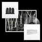 Crooked Wing - These New Puritans [VINYL]