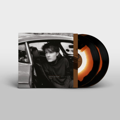 Gone to Earth - David Sylvian [VINYL]