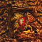 Worst Case Scenario (30th Anniversary Edition) - dEUS [VINYL]
