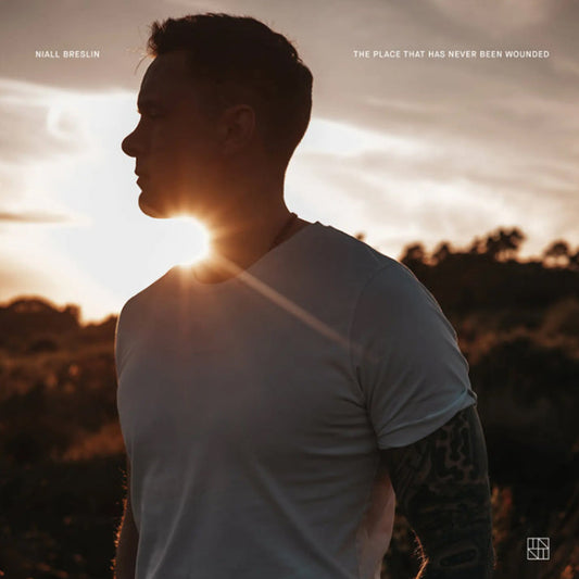 The Place That Has Never Been Wounded - Niall Breslin [VINYL]