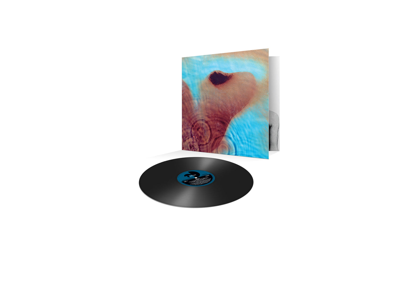 Meddle - Pink Floyd [VINYL]